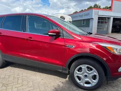 Rubyrot (metallic) (metallic) Gebraucht 2017 Ford Kuga Trend SUV | 12.990 € (Fairer Preis)