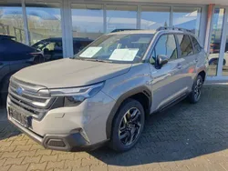 Grau Neu 2025 Subaru Forester Exclusive+ SUV | 46.288 € (Etwas zu teuer)