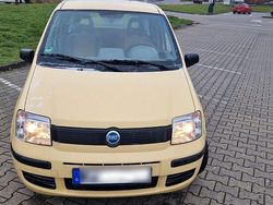 Gelb Gebraucht 2006 Fiat Panda Kleinwagen | 1.500 €