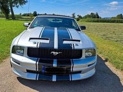 Silber Gebraucht 2005 Ford Mustang Cabrio | 12.500 €