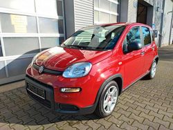 Passione rot Neu 2024 Fiat Panda Kleinwagen | 14.990 € (Fairer Preis)