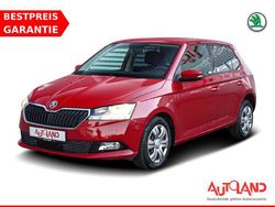 Rot Gebraucht 2020 Skoda Fabia Kleinwagen | 11.990 € (Fairer Preis)