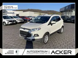 Frozen white Gebraucht 2017 Ford Ecosport Titanium SUV | 12.880 € (Fairer Preis)
