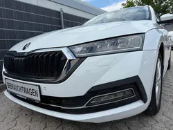 Weiß Gebraucht 2021 Skoda Octavia Kombi | 21.400 € (Fairer Preis)