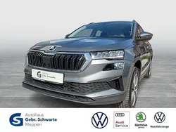 Grau Gebraucht 2022 Skoda Karoq Ambition SUV | 20.950 € (Fairer Preis)