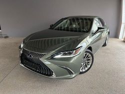 Grün Gebraucht 2018 Lexus ES300H Luxury Line Limousine | 34.999 €