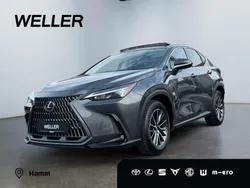 Grau Gebraucht 2024 Lexus NX350h Executive Line SUV | 48.990 € (Superpreis)