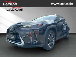 Graphite black Gebraucht 2023 Lexus UX 250h SUV | 30.950 € (Guter Preis)