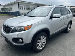 Grau Gebraucht 2011 Kia Sorento Attract SUV | 3.900 € (Superpreis)