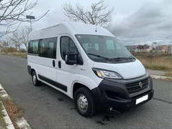 Weiß Gebraucht 2020 Fiat Ducato Van | 21.999 € (Teuer)