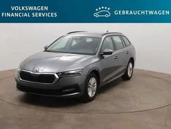 Grau Gebraucht 2023 Skoda Octavia Ambition Kombi | 22.470 € (Superpreis)