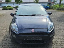 Blau Gebraucht 2012 Fiat Punto Kleinwagen | 2.999 €