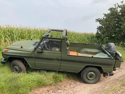 Mercedes G250