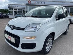 Weiß Gebraucht 2020 Fiat Panda Easy Kleinwagen | 6.900 € (Guter Preis)