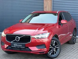 Rot Gebraucht 2019 Volvo XC60 Momentum SUV | 24.499 € (Fairer Preis)