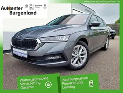 Graphitegrau metallic Gebraucht 2024 Skoda Octavia Ambition Kombi | 33.990 € (Fairer Preis)