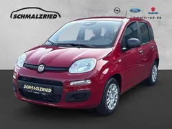 Rot Neu 2025 Fiat Panda Kleinwagen | 14.970 € (Fairer Preis)