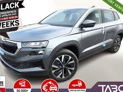 Grau Neu 2025 Skoda Karoq Selection SUV | 34.489 € (Fairer Preis)