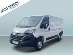 Eis weis Gebraucht 2023 Opel Movano Edition Van | 26.850 € (Fairer Preis)