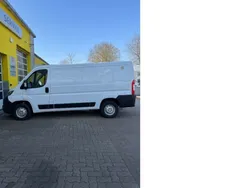 Weiss Gebraucht 2020 Fiat Ducato 33 Van | 23.205 € (Etwas zu teuer)