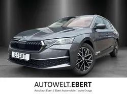 Graphitegrau Gebraucht 2024 Skoda Octavia Exclusive Kombi | 34.480 € (Fairer Preis)