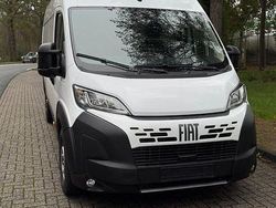 Weiß Neu 2025 Fiat Ducato Van | 37.000 € (Fairer Preis)