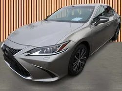 Grau Neu 2025 Lexus ES300H Limited Edition Limousine | 39.980 € (Guter Preis)