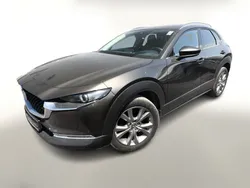 Braun Gebraucht 2020 Mazda CX-30 Selection SUV | 16.488 €