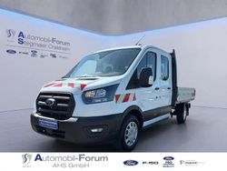 Frostweiß Gebraucht 2024 Ford Transit Trend Limousine | 33.915 € (Etwas zu teuer)