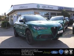 Grün Neu 2025 Alfa Romeo Stelvio Quadrifoglio SUV | 87.490 € (Guter Preis)