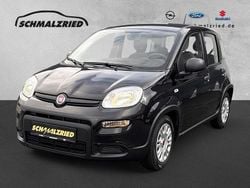 Schwarz Gebraucht 2022 Fiat Panda Kleinwagen | 10.770 € (Fairer Preis)