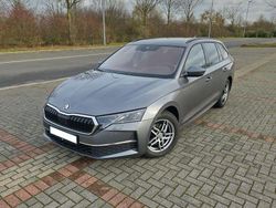 Grau Gebraucht 2024 Skoda Octavia SE Kombi | 31.000 € (Fairer Preis)