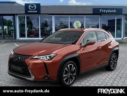 Kupfer Gebraucht 2020 Lexus UX 250h SUV | 18.990 € (Superpreis)