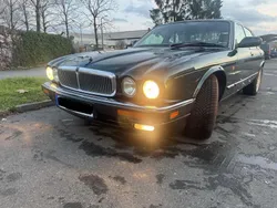 Grün Gebraucht 1996 Jaguar X300 Sovereign Limousine | 6.799 €