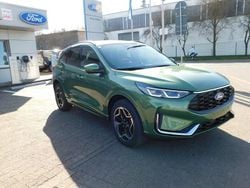 Grün Gebraucht 2025 Ford Kuga ST-Line X SUV | 34.980 € (Guter Preis)