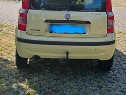 Gelb Gebraucht 2009 Fiat Panda Kleinwagen | 2.200 €