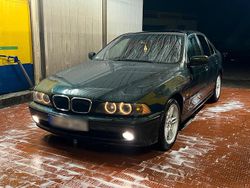 Grün Gebraucht 2002 BMW 520 Limousine | 4.600 € (Teuer)