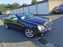 Blau Gebraucht 2002 Mercedes CLK230 Avantgarde Cabrio | 3.855 € (Guter Preis)