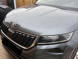 Grau Gebraucht 2020 Skoda Kodiaq Ambition SUV | 25.350 € (Guter Preis)
