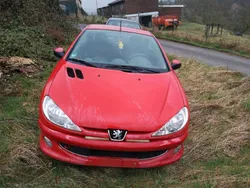 Rot Gebraucht 2002 Peugeot 206 CC Cabrio | 350 €