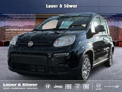 Neu 2024 Fiat Panda Kleinwagen | 14.290 € (Fairer Preis)