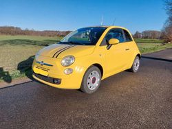 Gelb Gebraucht 2008 Fiat 500 Lounge Kleinwagen | 3.850 € (Fairer Preis)