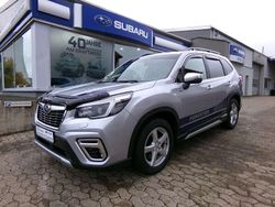 Ice silver (m) Gebraucht 2022 Subaru Forester Platinum SUV | 31.490 € (Fairer Preis)