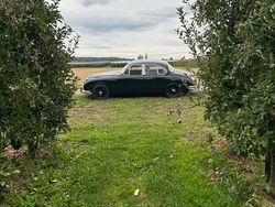 Grün Gebraucht 1963 Jaguar MK II Limousine | 22.500 €