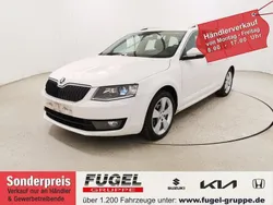 Candyweiss Gebraucht 2014 Skoda Octavia Elegance Kombi | 5.899 € (Superpreis)