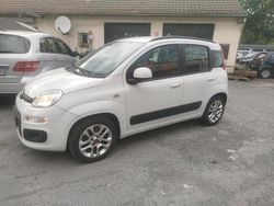 Weiß Gebraucht 2014 Fiat Panda Kleinwagen | 6.100 € (Guter Preis)