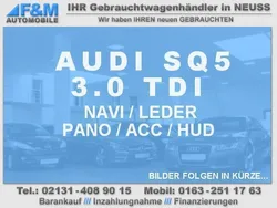 Grau Gebraucht 2019 Audi SQ5 Sport SUV | 25.950 €