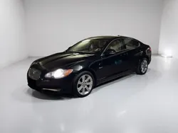 Schwarz Gebraucht 2010 Jaguar XF Luxury Limousine | 7.200 € (Fairer Preis)