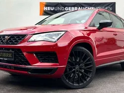 Rojo velvet Gebraucht 2022 Cupra Ateca SUV | 25.890 € (Superpreis)