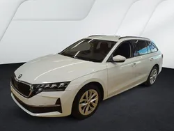 Weiß Gebraucht 2024 Skoda Octavia Selection Kombi | 27.985 € (Guter Preis)